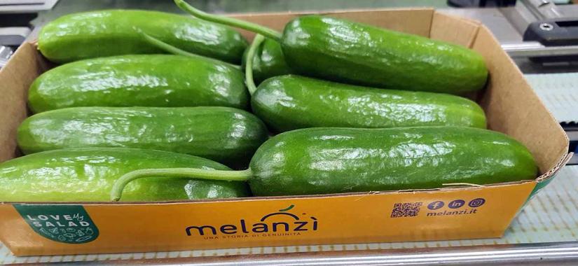 Melanzì, cetriolini snack nel packaging ludico ed eco-friendly