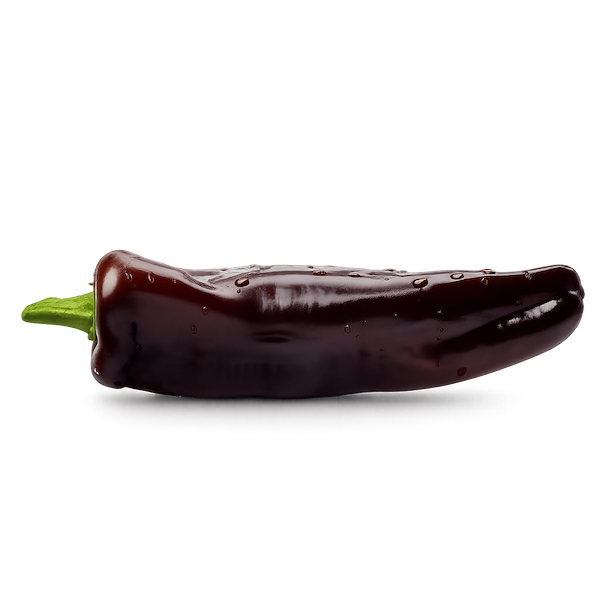 Peperone Cioccolato